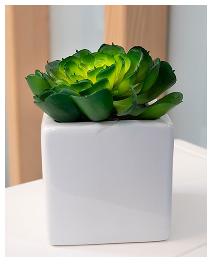 Carrefour Collaborateurs 2019 France Défi