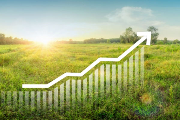 Shutterstock_taxecessionterrain-2