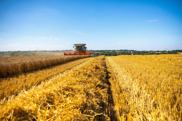 shutterstock_loifinanceagricole