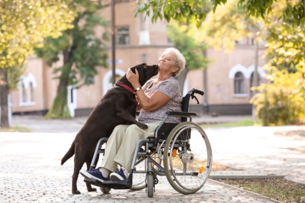 shutterstock_ephadanimauxdecompagnie
