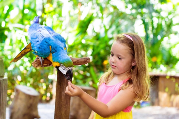 shutterstock_parczoologiquetva