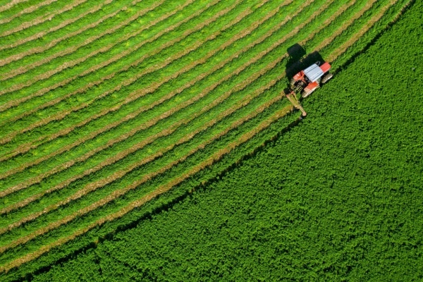 shutterstock_souverainetealimentaire