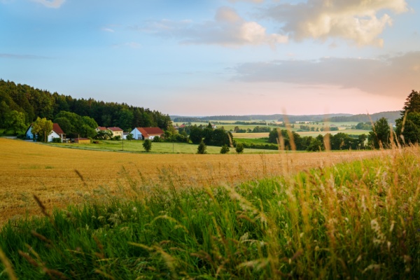 shutterstock_zfrr