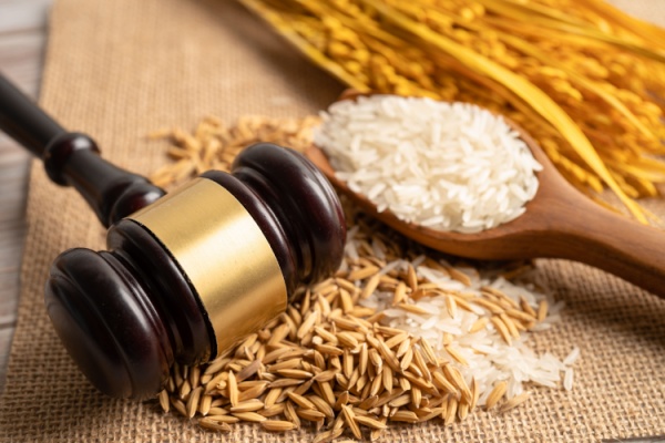 shutterstock_loifinancementsc3a9cruitc3a9sociale_0