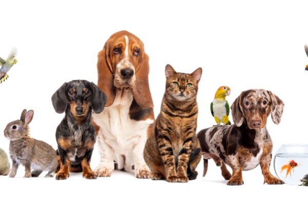 shutterstock_soinsprotection