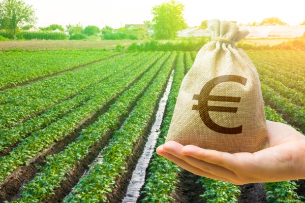 shutterstock_terresagricolestaxefonciere