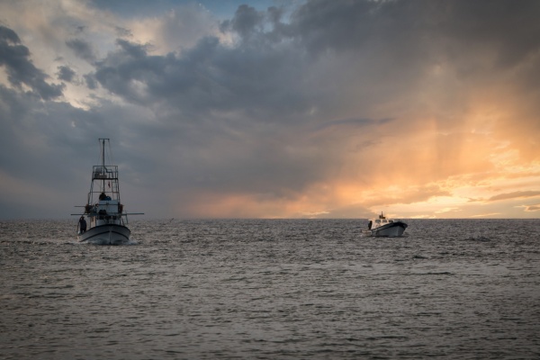 shutterstock_licencereuropeennepeche