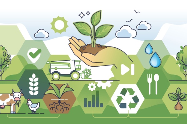 shutterstock_lfssagriculture-2