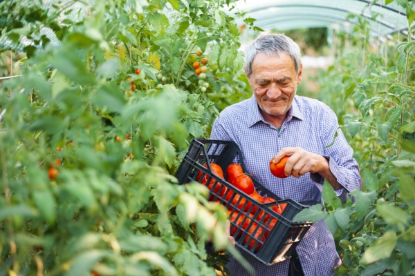 shutterstock_pensionretraitesalariesagri