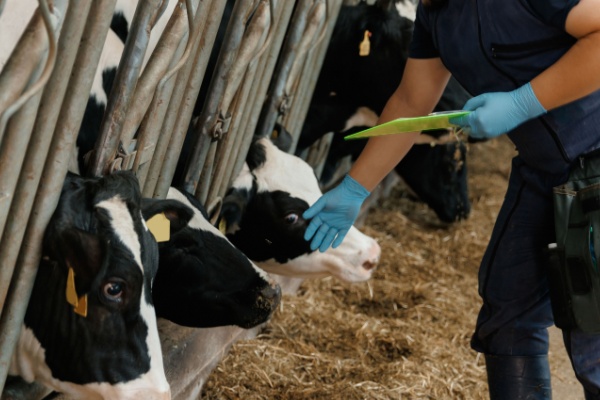 shutterstock_dermatoseno