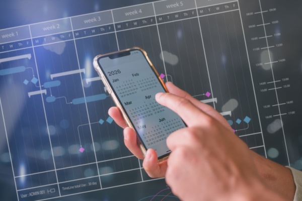 shutterstock_dnssubsitution