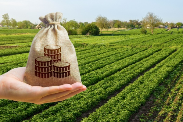 shutterstock_lfagriculture-1