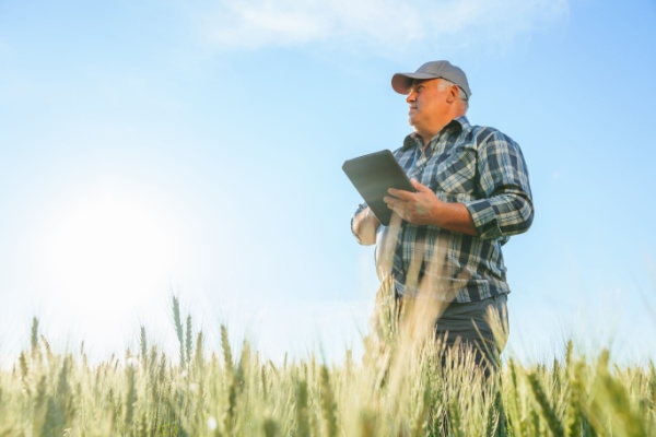 shutterstock_pointretraite