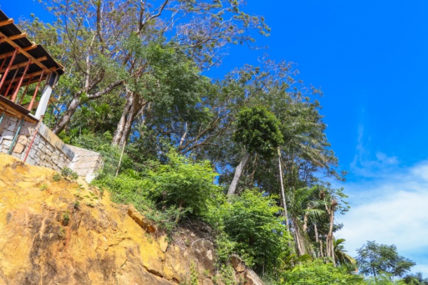 shutterstock_reconstructionmayotte