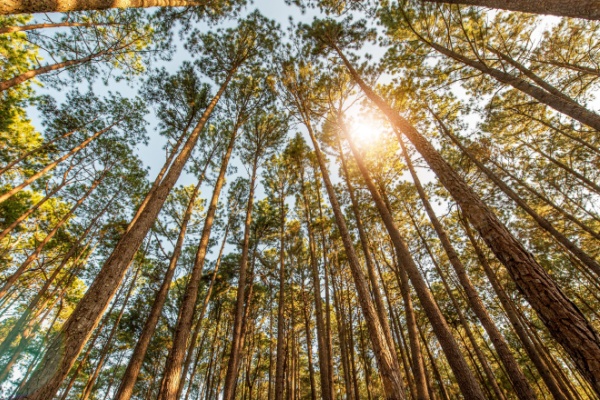 shutterstock_tauxreduittvaagriculture