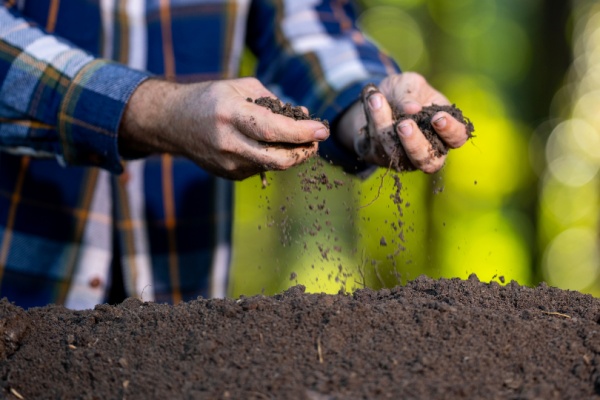 shutterstock_fertilisantssolsagri-1