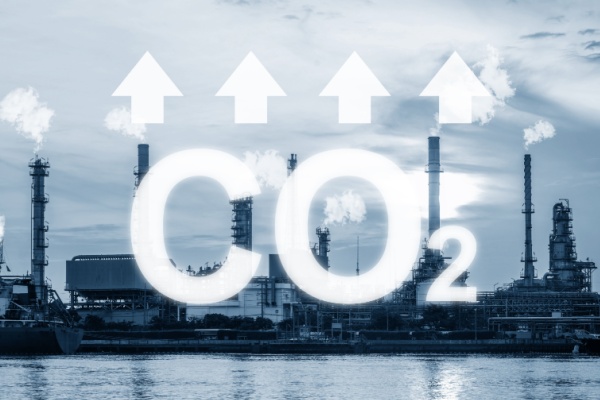 shutterstock_macf