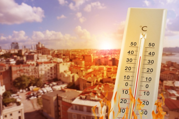 shutterstock_caniculeurssaf