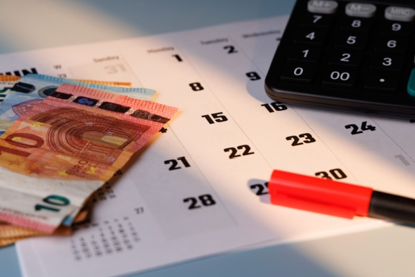 shutterstock_aidepirogue-1