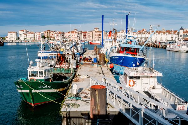shutterstock_navireportpeche-1