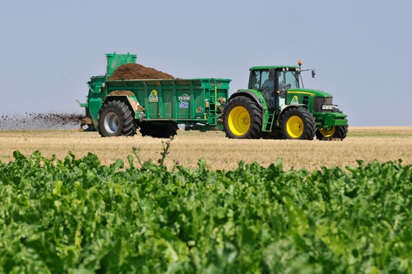 Olivet,,France,-,13,Mars,2021,:,Armer,Spreading,Hen