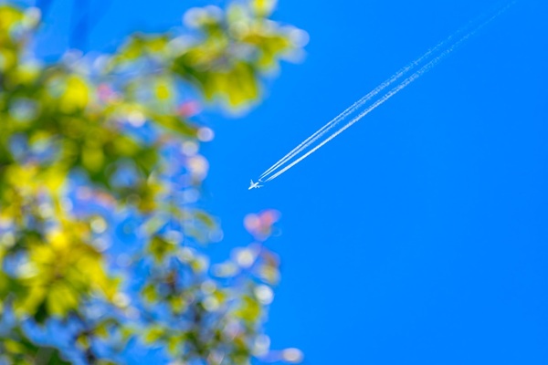 Spring,Leaves,And,Airplane,In,Vivid,Blue,Sky