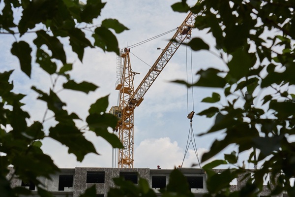 Industrial,Tower,Crane,Framed,By,Green,Tree,Leaves,Outdoors