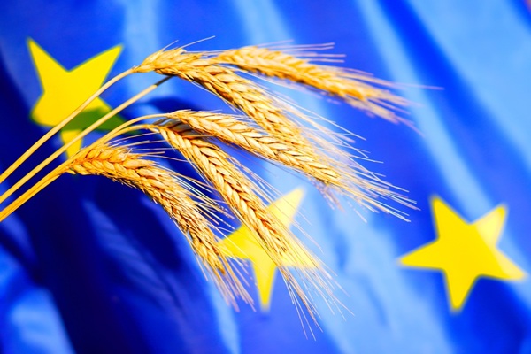 Wheat,On,European,Union,Flag,Background.,Eu,Agricultural,Policy,,Food