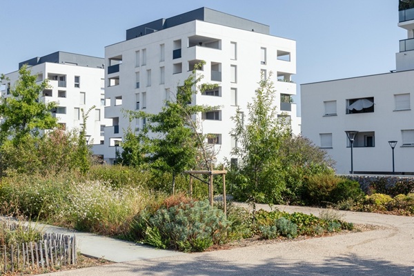 Saint-martin-du-touch,,France,-,August,19,,2026,-,Flowerbeds,Of,The